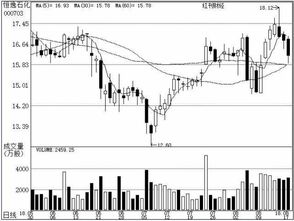 8月19日机构聚焦 基础软件服务赛道，谁主沉浮？